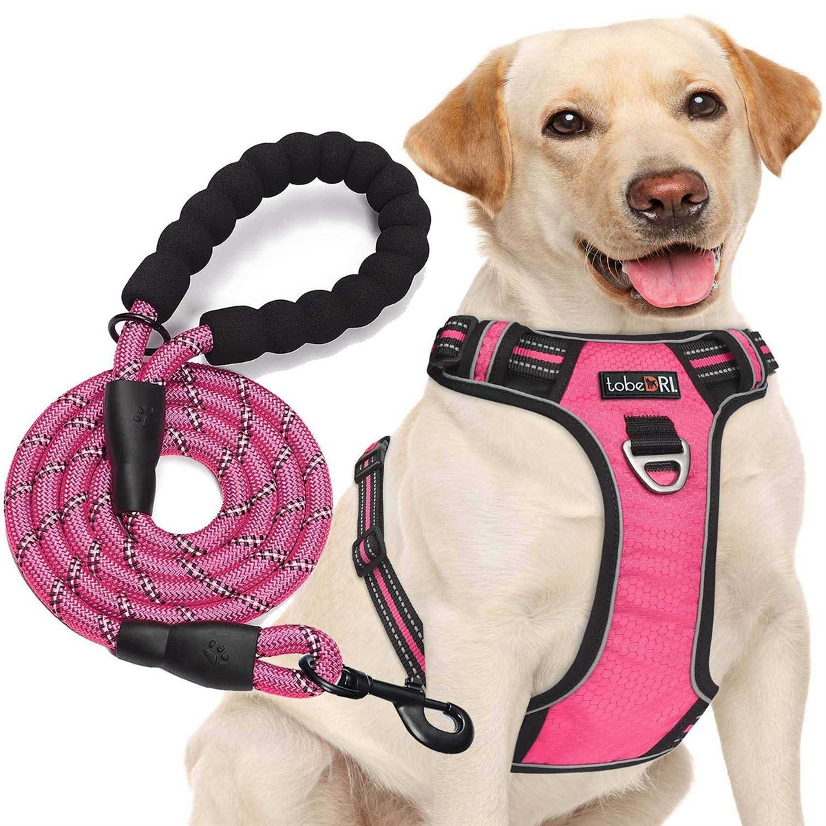 Adjustable Reflective Oxford Dog Harness with 5ft Dog Leash F99260