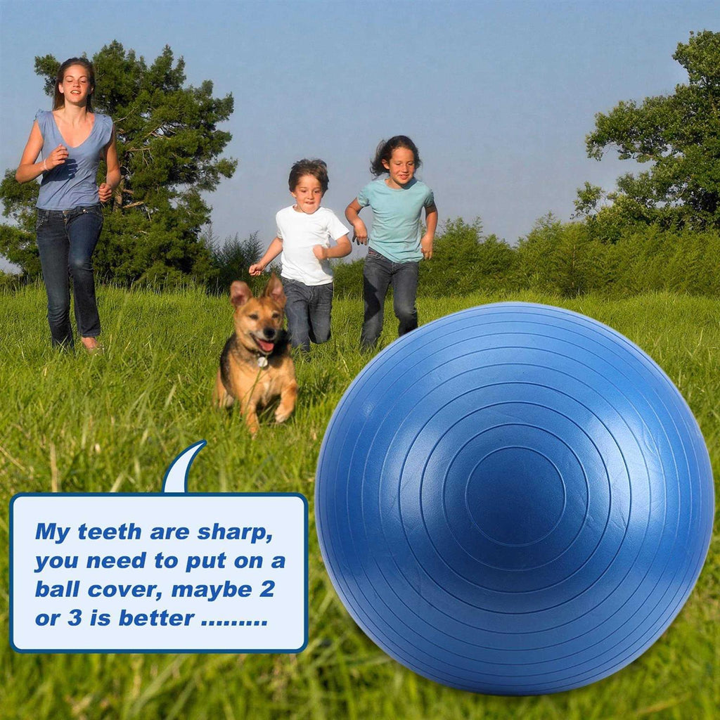 Horse Herding Ball 40 Anti-Burst Giant Soccer Ball Toy D6063