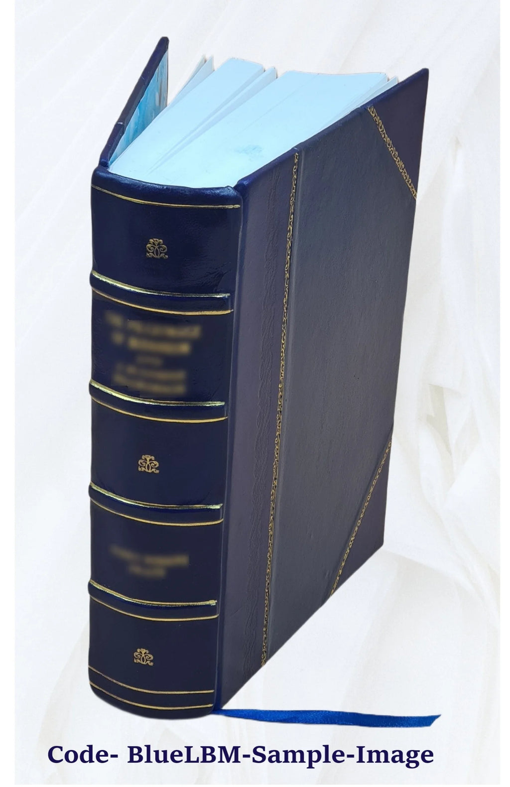 Leather Bound Dictionary F190149