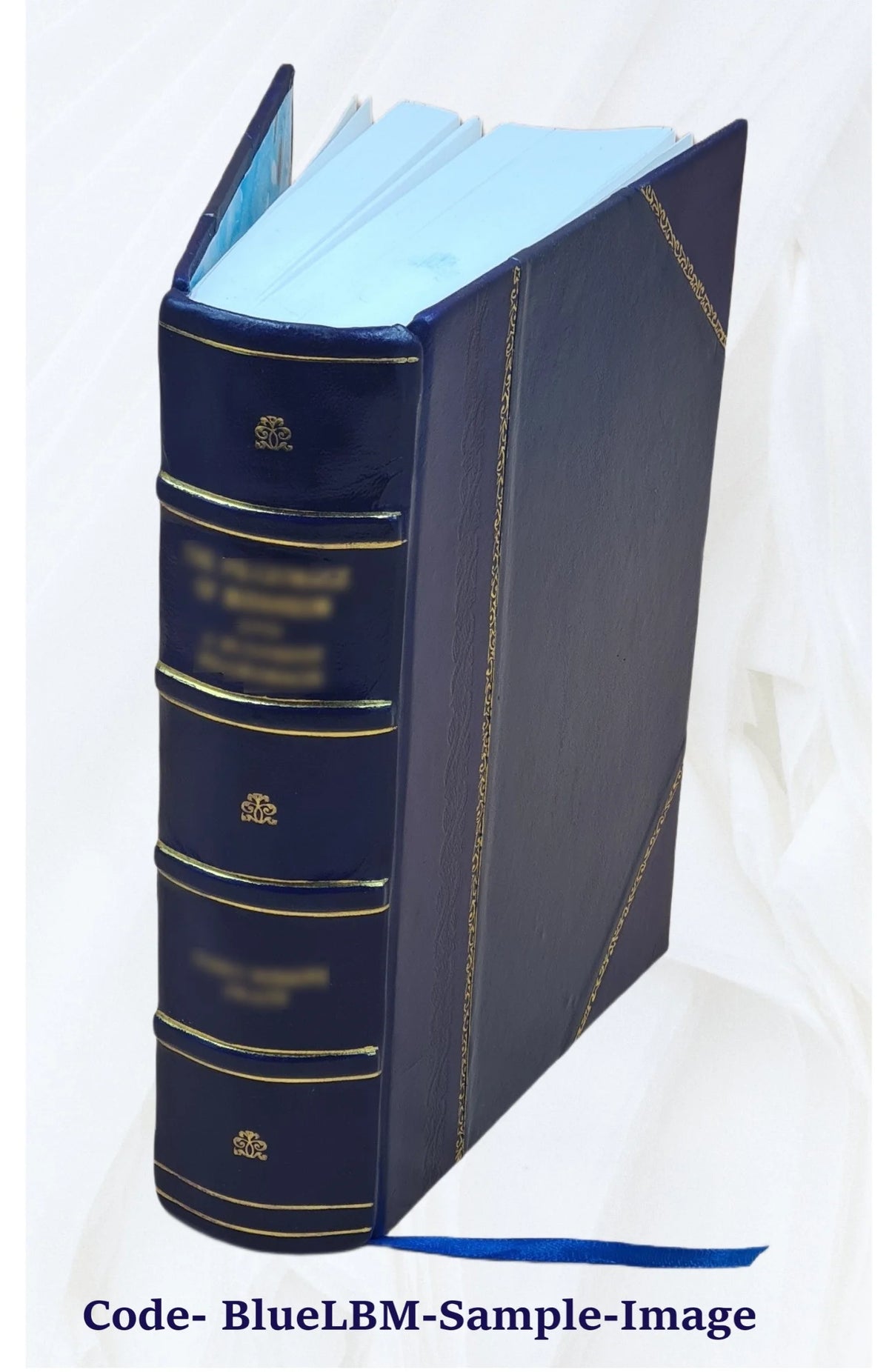 Leather Bound Dictionary F190149