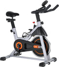 Indoor Cycling Bike with Ipad Mount F836