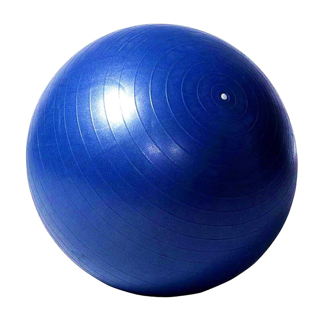 Horse Herding Ball 40 Anti-Burst Giant Soccer Ball Toy D6063