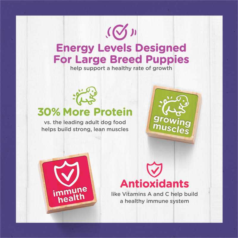 High Protein Large Breed Dry Puppy Food with Real Chicken P137