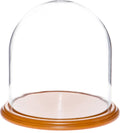 Glass Display Dome Cloche with Oak Veneer Base N93318