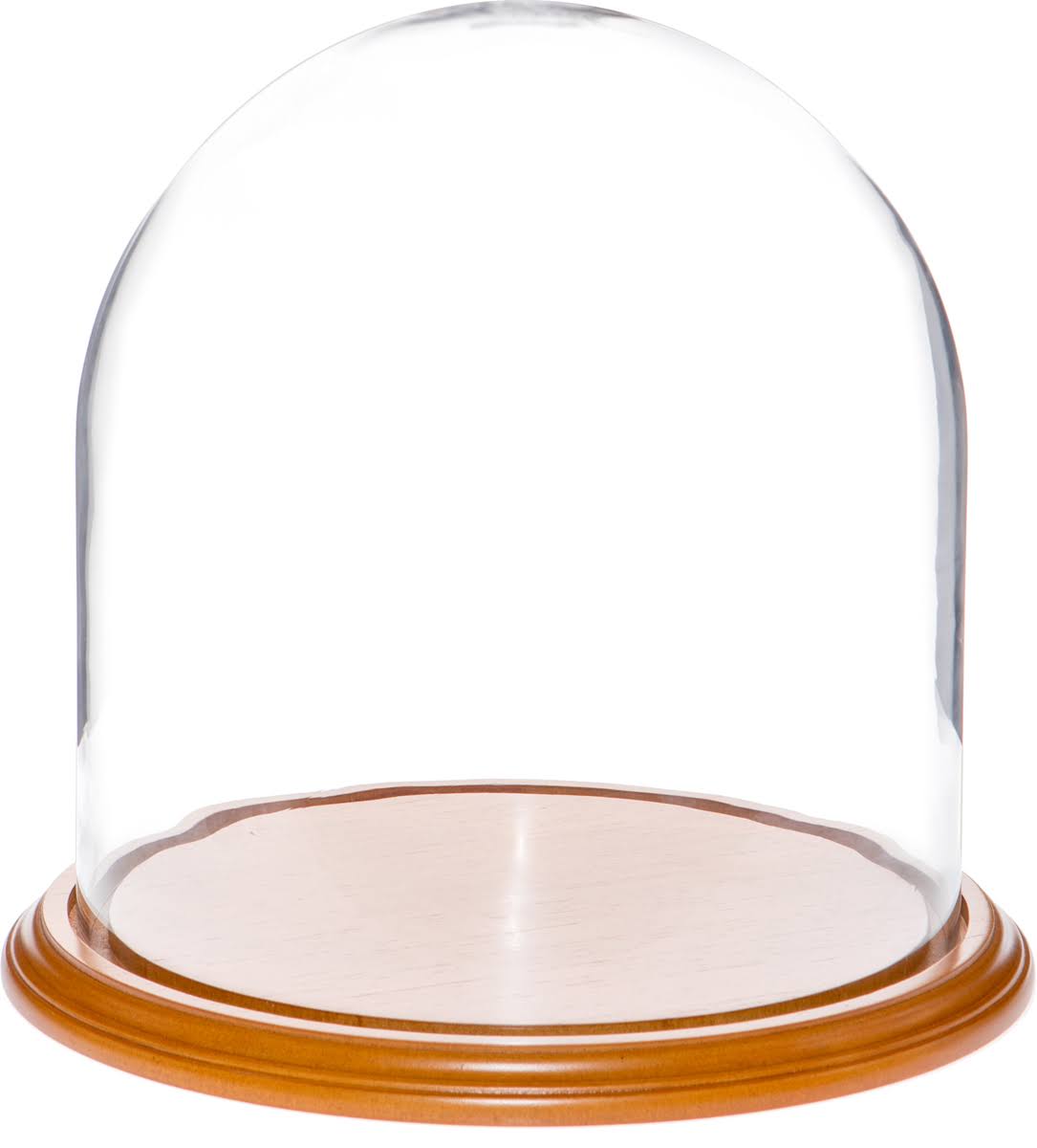 Glass Display Dome Cloche with Oak Veneer Base N93318