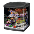 16 Gallon LED Aquarium Fish Tank Kit G5512