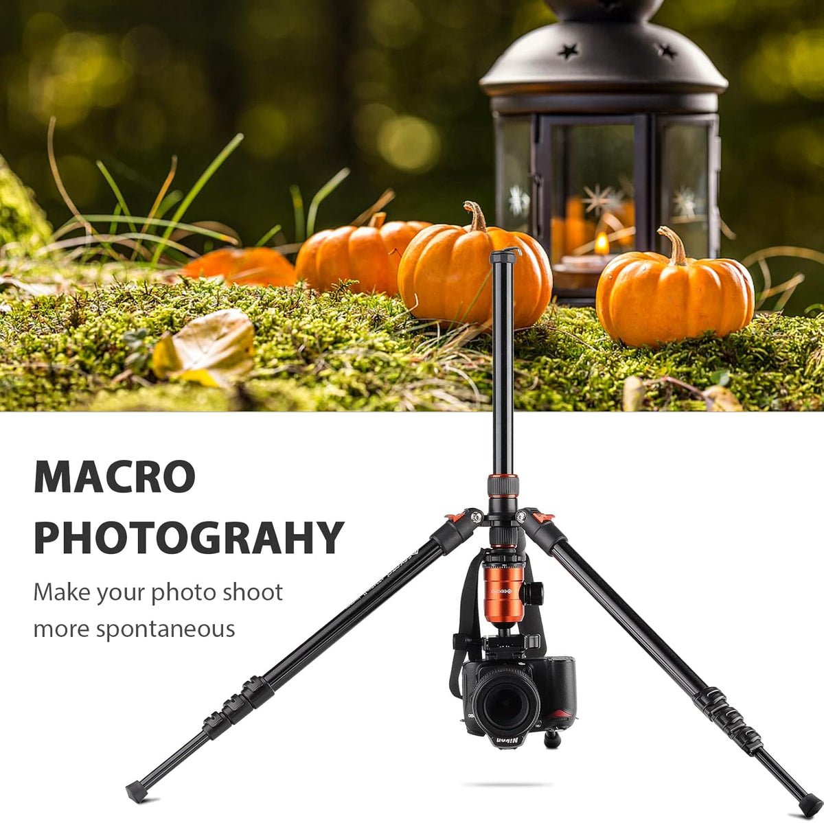 Aluminum Camera Tripod Monopod I695874