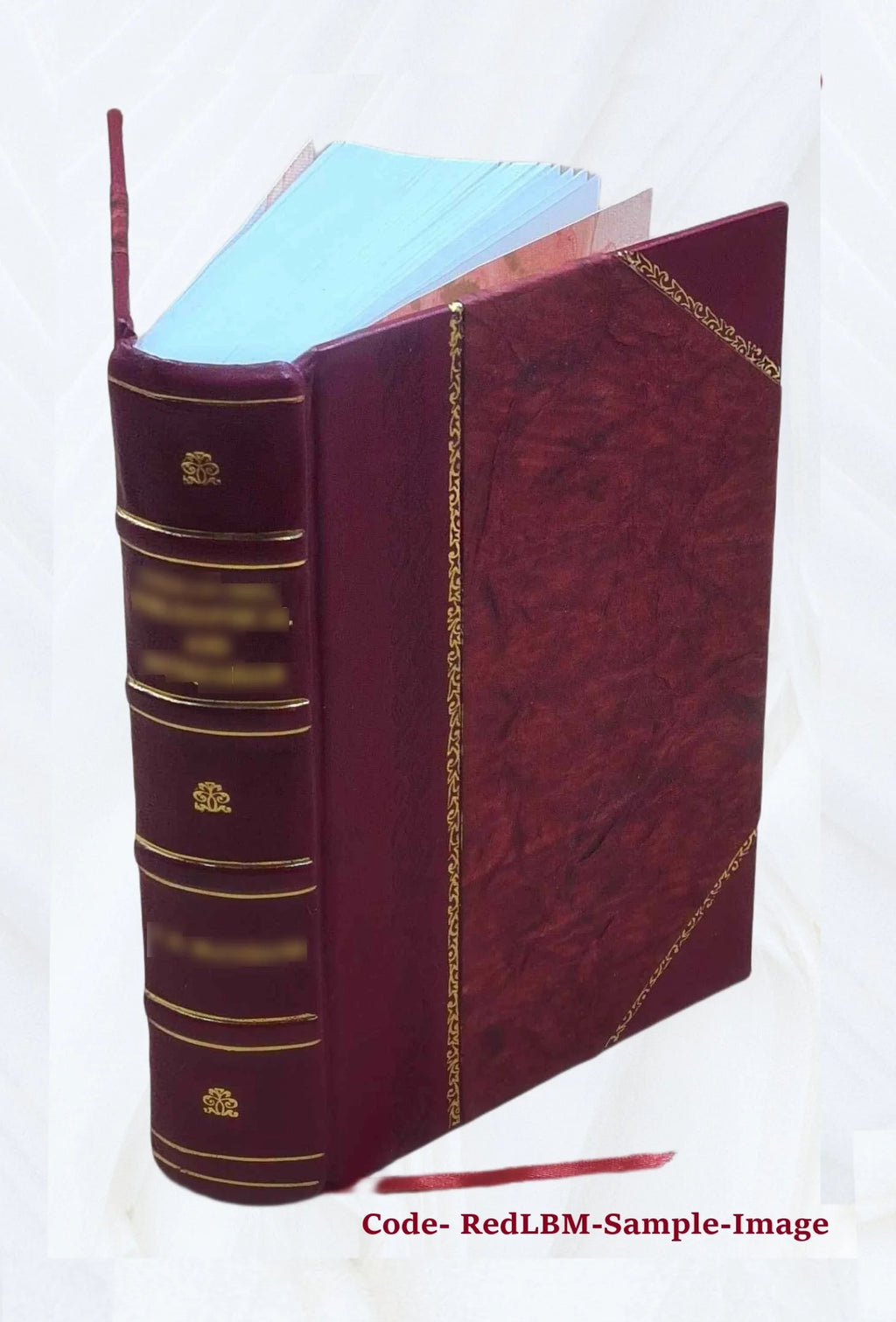 Leather Bound Dictionary F190149