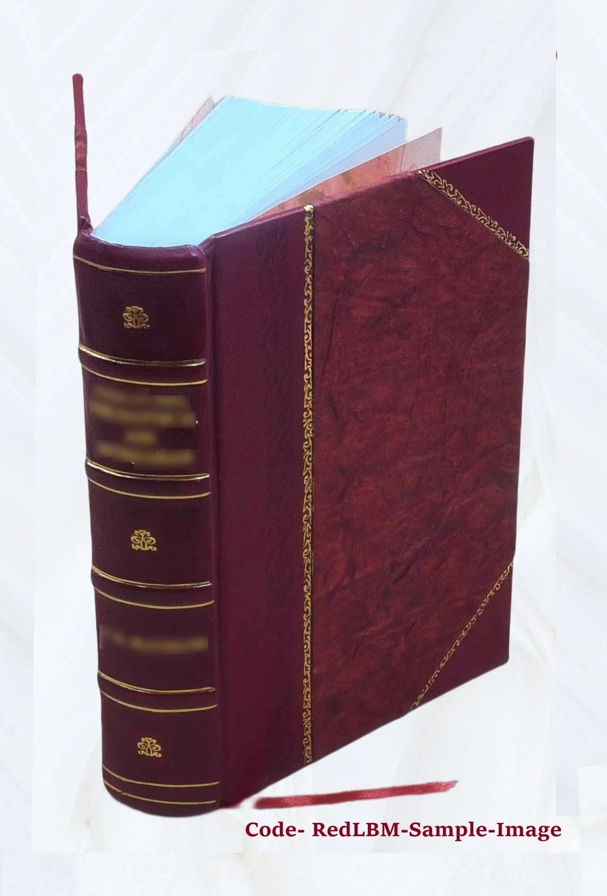 Leather Bound Dictionary F190149