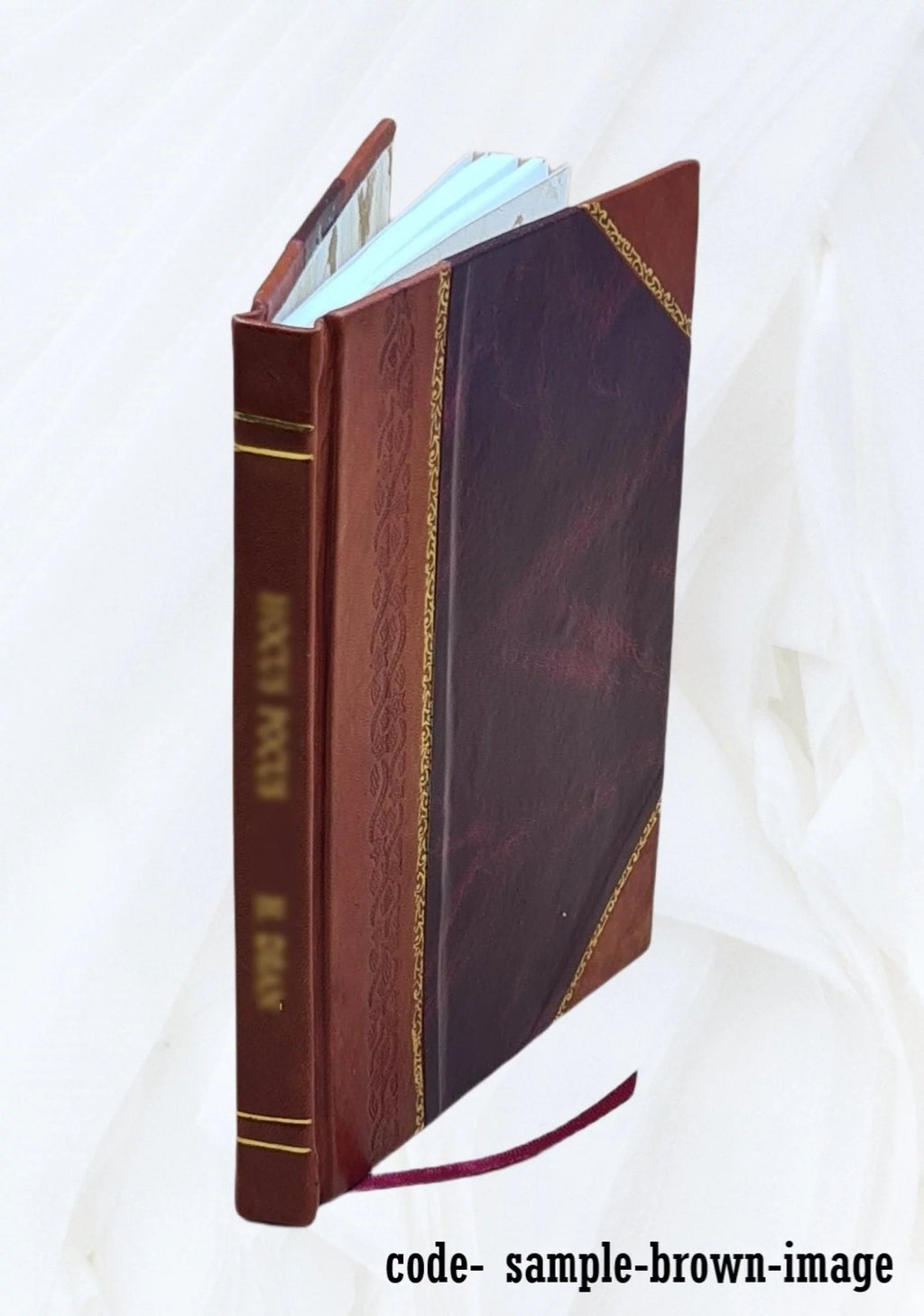 19th Century Europe Leather Bound A823