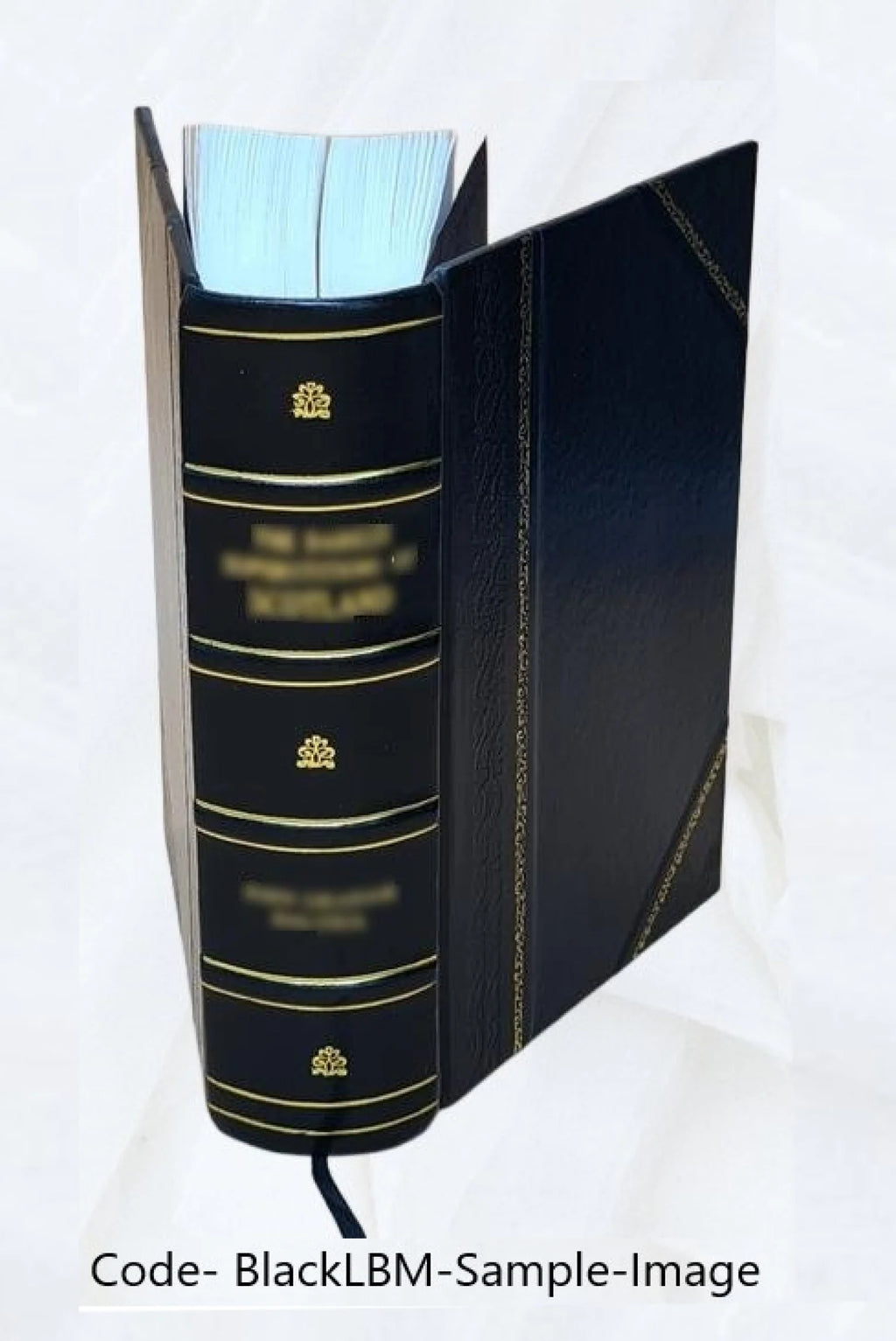 Leather Bound Dictionary F190149