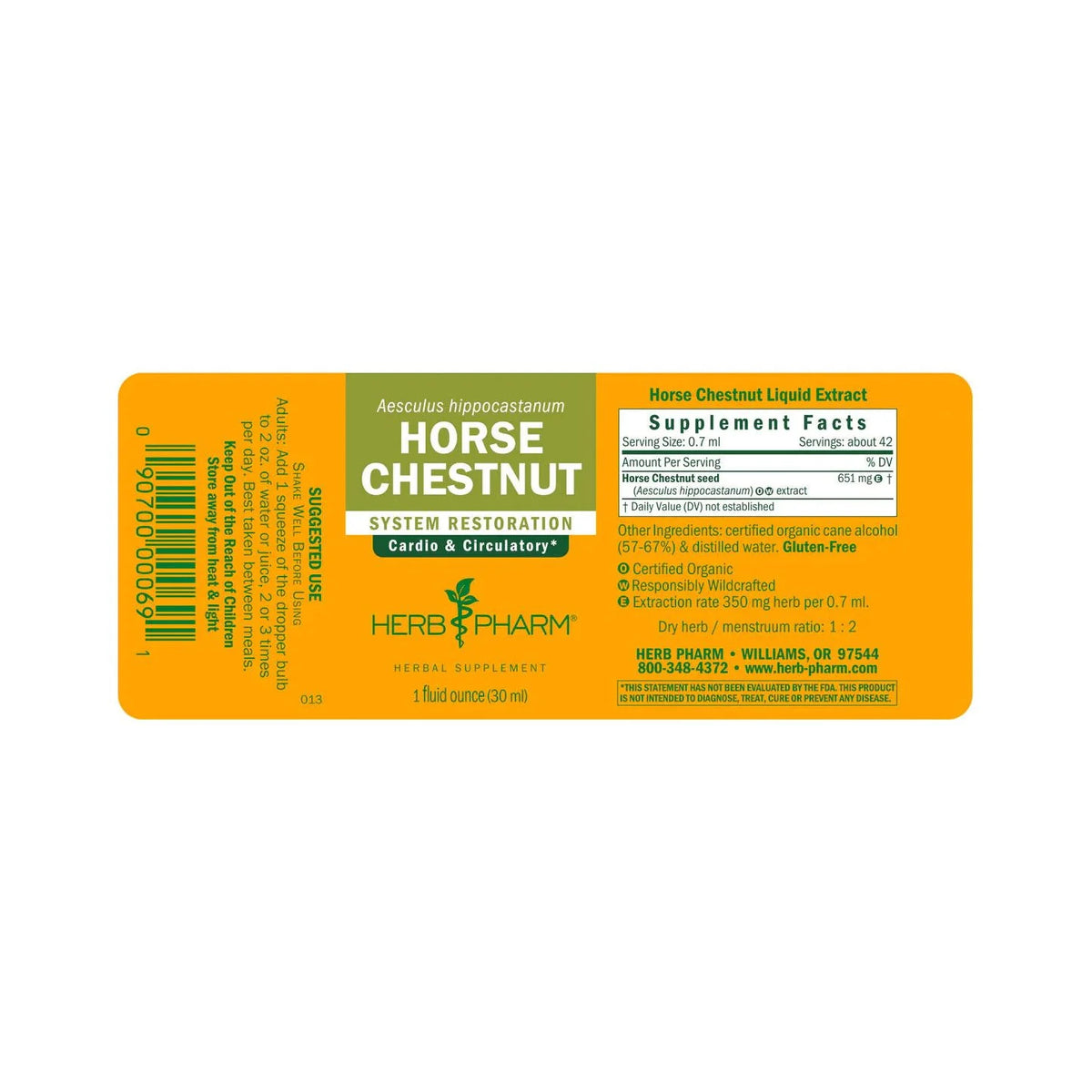Horse Chestnut O528