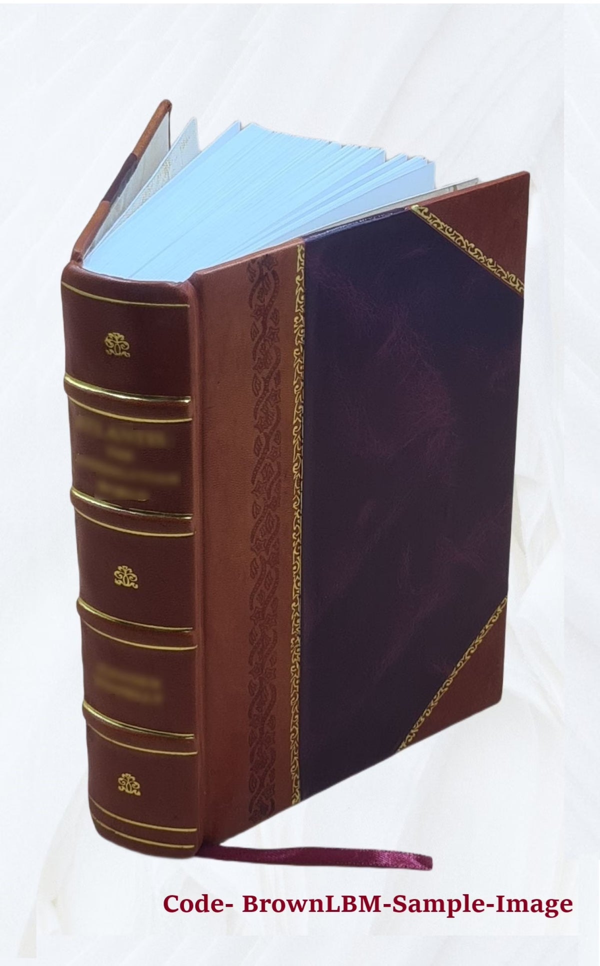 Leather Bound Dictionary F190149
