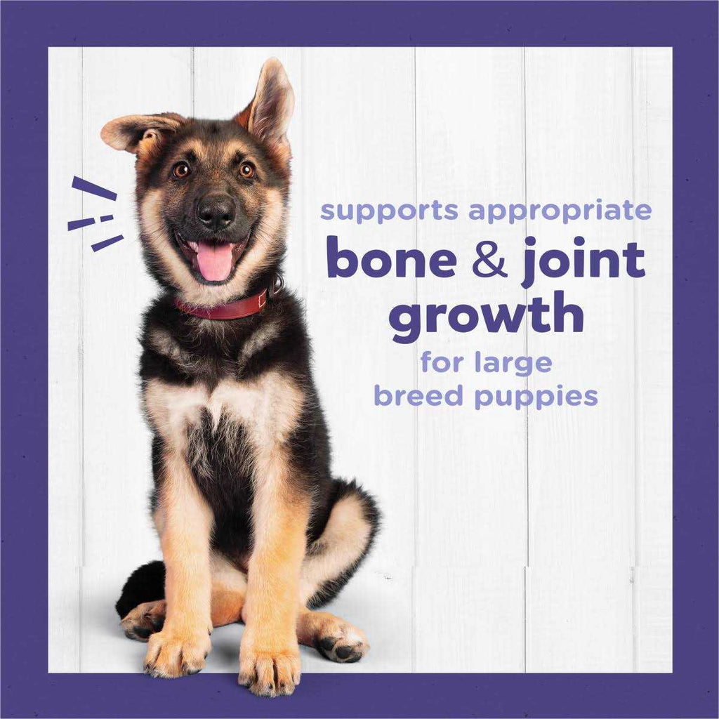 High Protein Large Breed Dry Puppy Food with Real Chicken P137