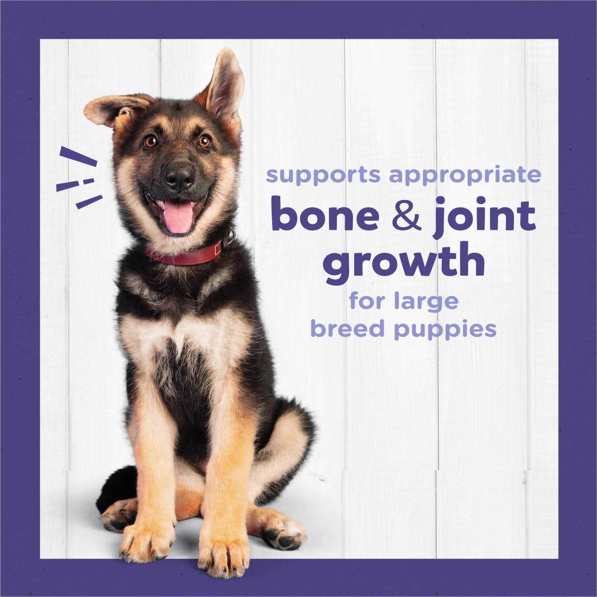 High Protein Large Breed Dry Puppy Food with Real Chicken P137