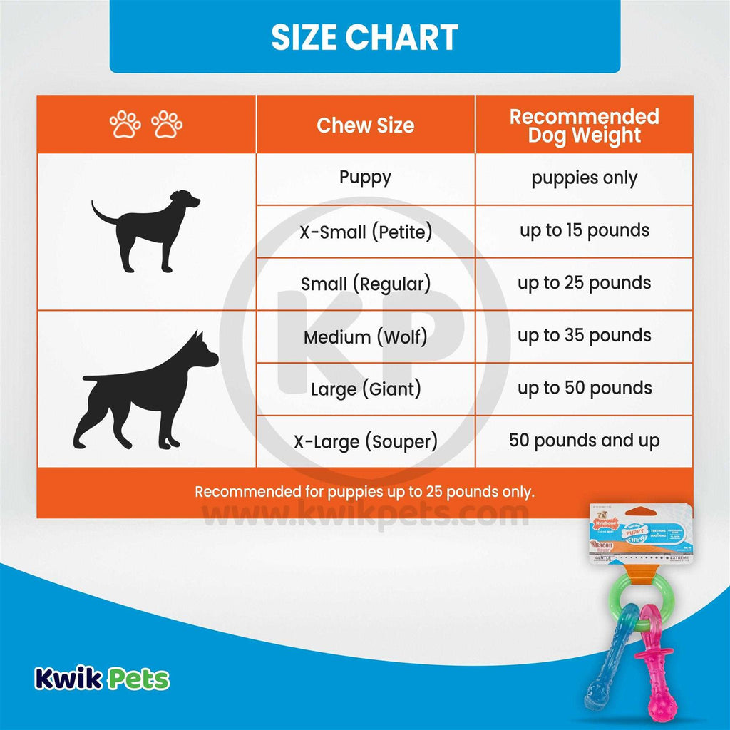 Puppy Chew Teething Pacifier F86485