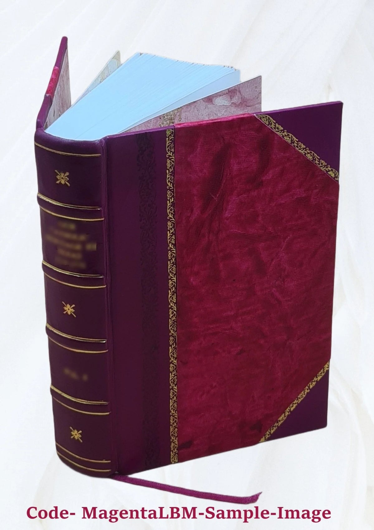 Leather Bound Dictionary F190149