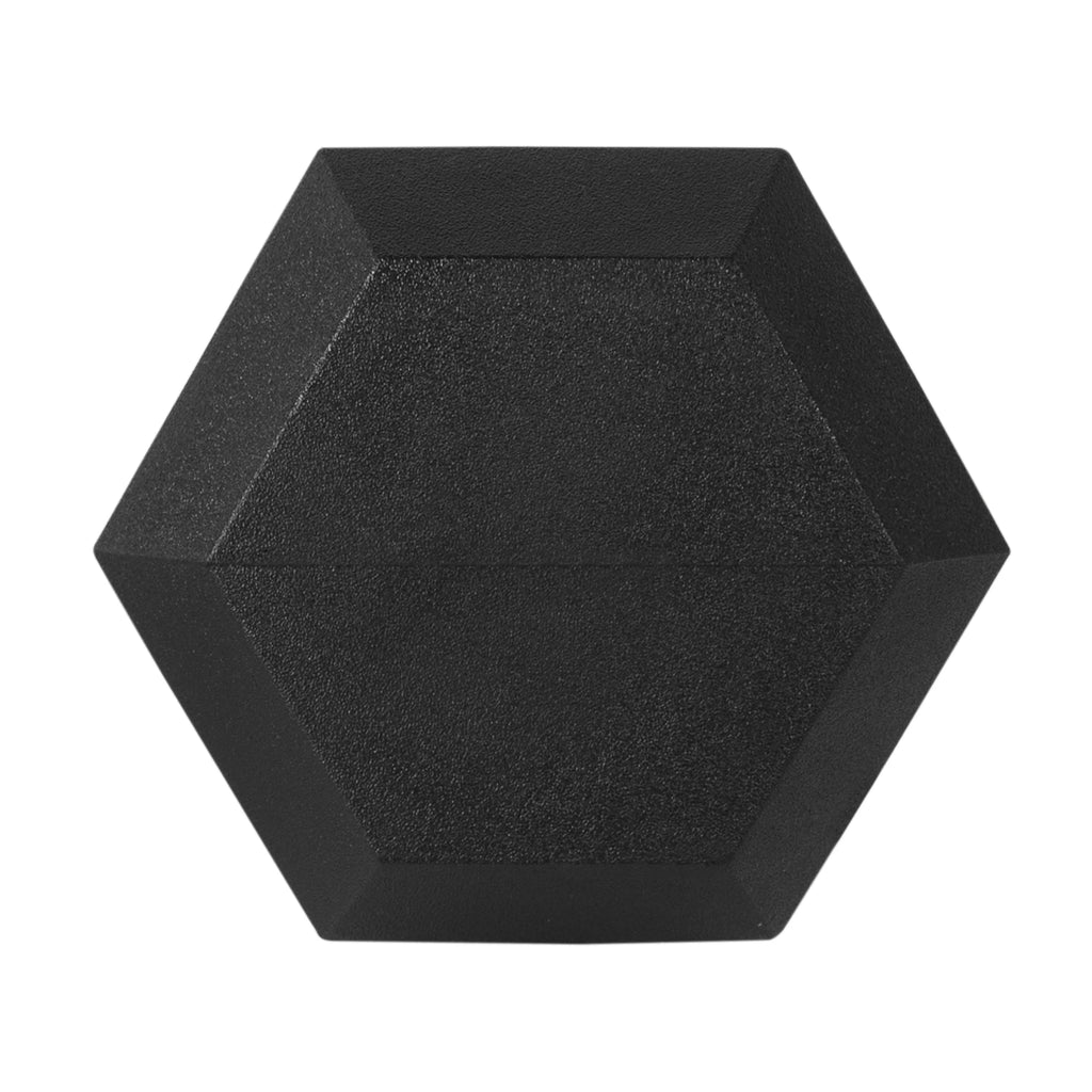 Rubber Encased Hex Dumbbell, 40LBs, Single H24452